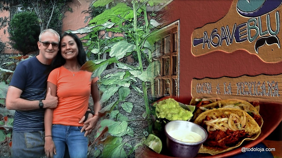 AGAVEBLU – Comida Mexicana Autentica Orgánica en Vilcabamba