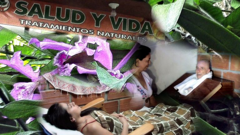HEALTH 
												 Salud y Vida SPA 
												Relaxation and massages in Vilcabamba